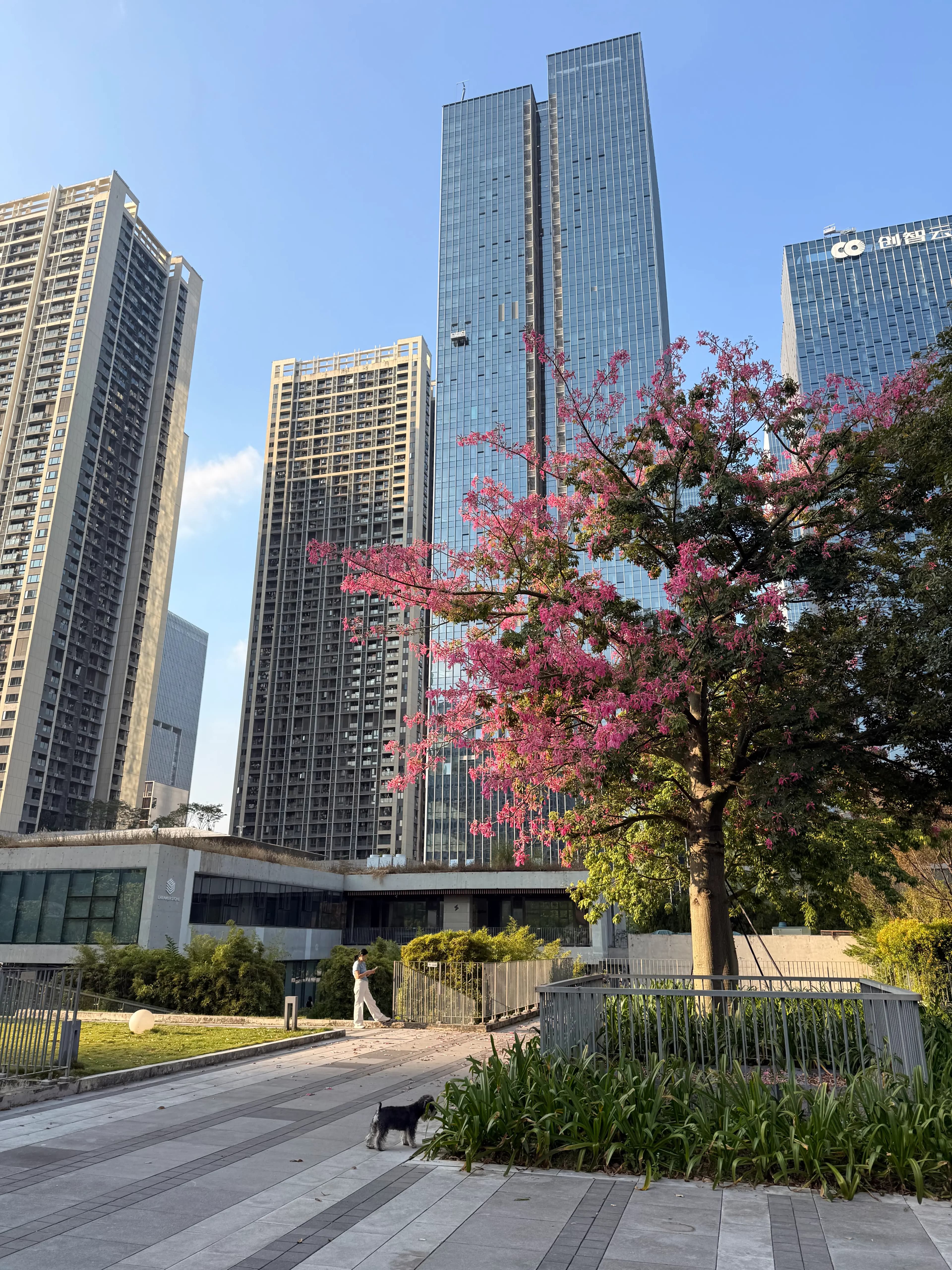 shenzhen-arc-1792999581312.webp